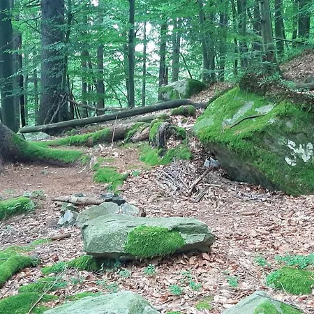 Апартаменты Healing Farm *