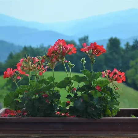 Healing Farm Apartman