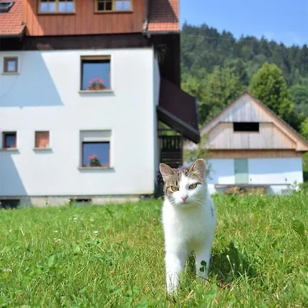 Apartman Healing Farm *
