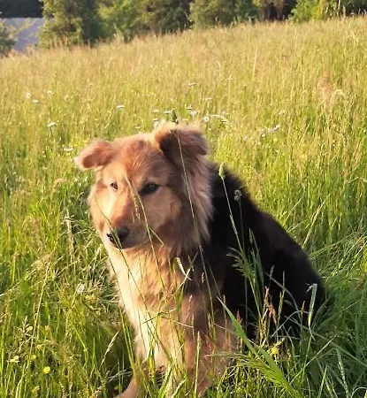 Healing Farm Апартаменты *