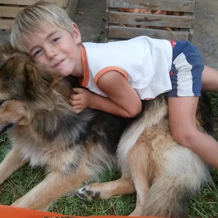 Healing Farm Lejlighed *