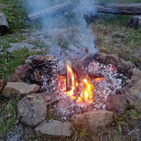 Апартаменты Healing Farm