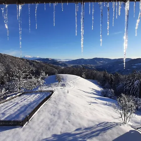 Healing Farm Apartment Gorenja Vas (Gorenja Vas-Poljane)