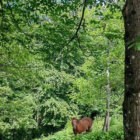Healing Farm Gorenja Vas (Gorenja Vas-Poljane)