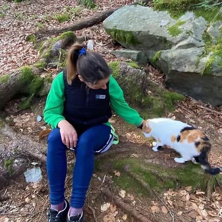 Healing Farm Daire Gorenja Vas (Gorenja Vas-Poljane)