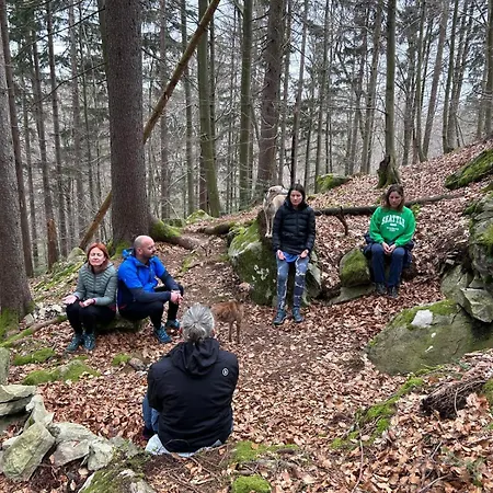 Lejlighed Healing Farm Gorenja Vas (Gorenja Vas-Poljane)