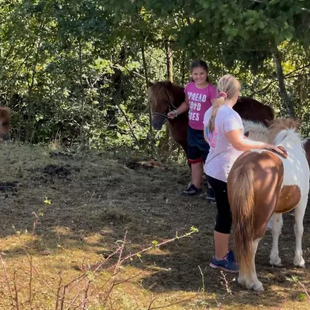 Apartament Healing Farm