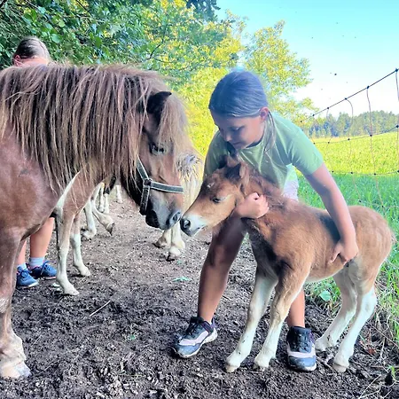 Apartament Healing Farm