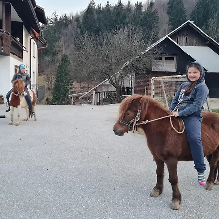 Healing Farm Apartment Gorenja Vas (Gorenja Vas-Poljane)