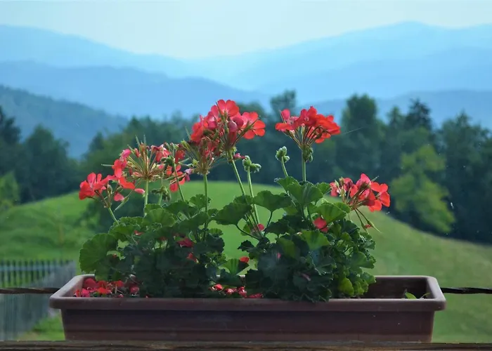 Healing Farm Appartement