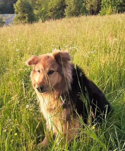 Healing Farm Appartement *