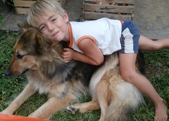 Healing Farm Appartement *