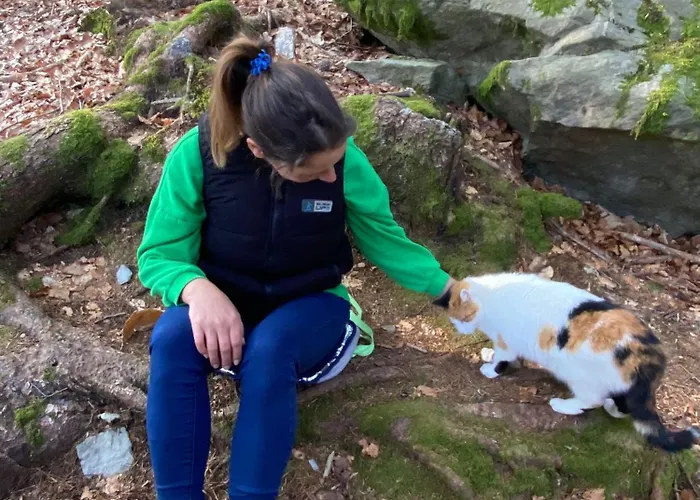 Healing Farm Appartement Gorenja Vas (Gorenja Vas-Poljane)