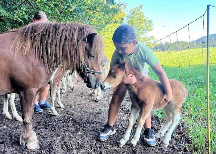 Appartement Healing Farm